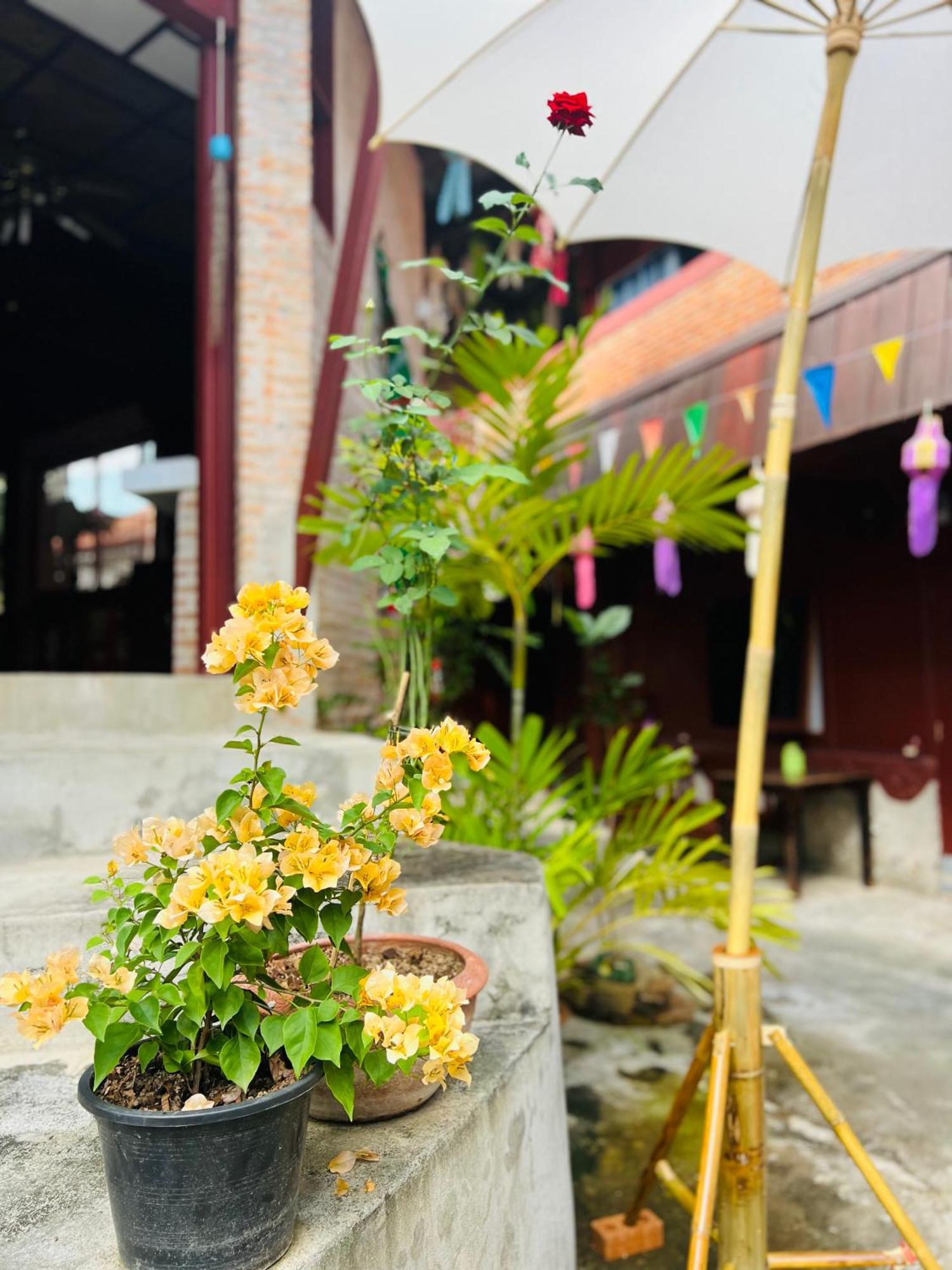 Boutique House Nipha Lägenhet Chiang Mai Exteriör bild