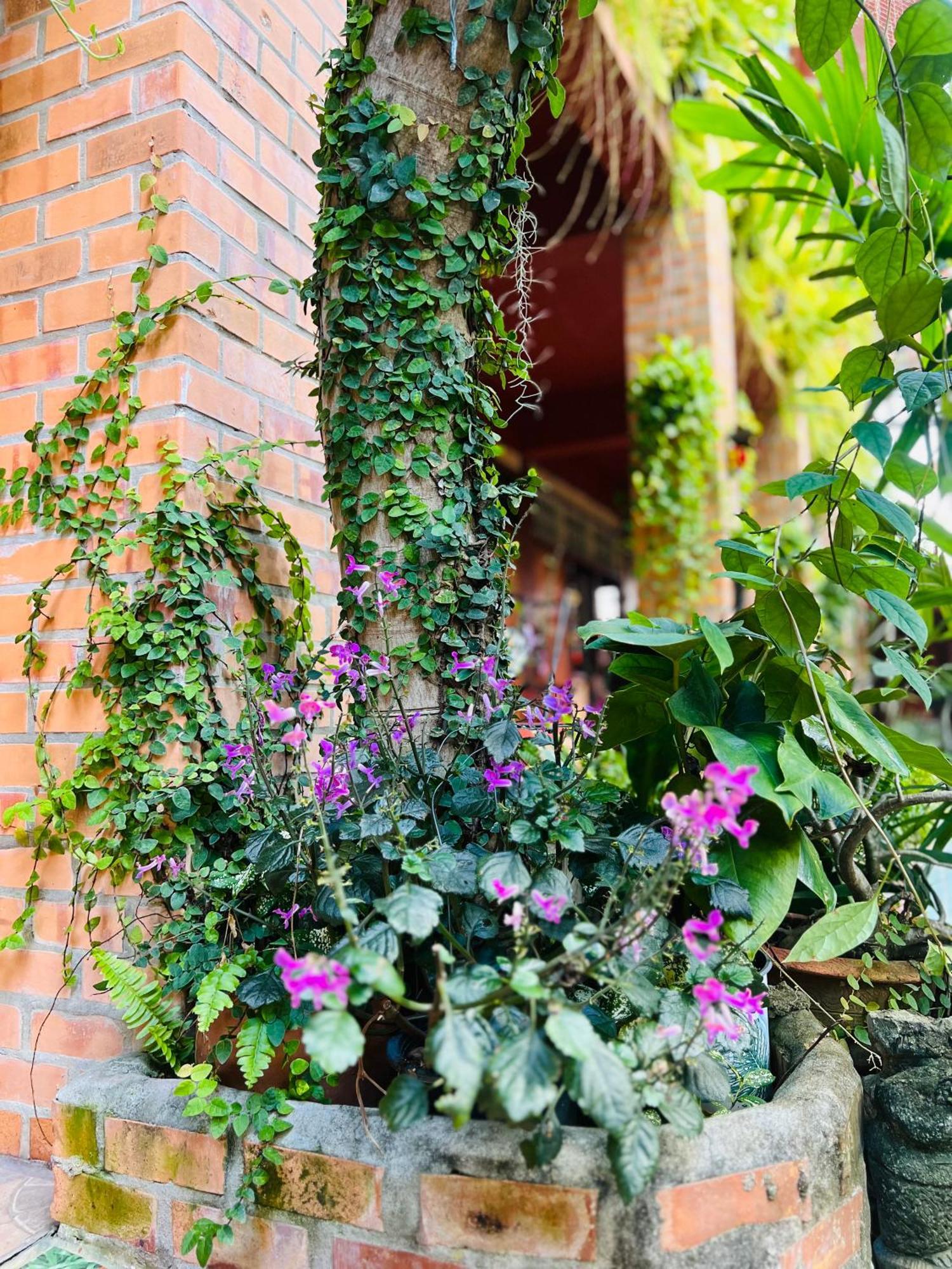 Boutique House Nipha Lägenhet Chiang Mai Exteriör bild
